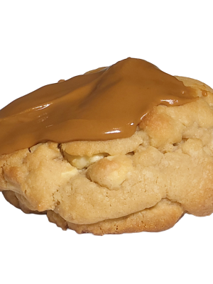 biscoff-and-white-choc-2-